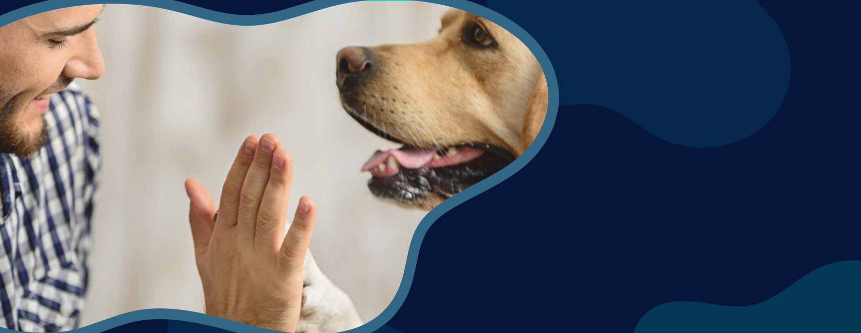 Best Quality Dry Dog Food New Zealand Premium Dog Food Online