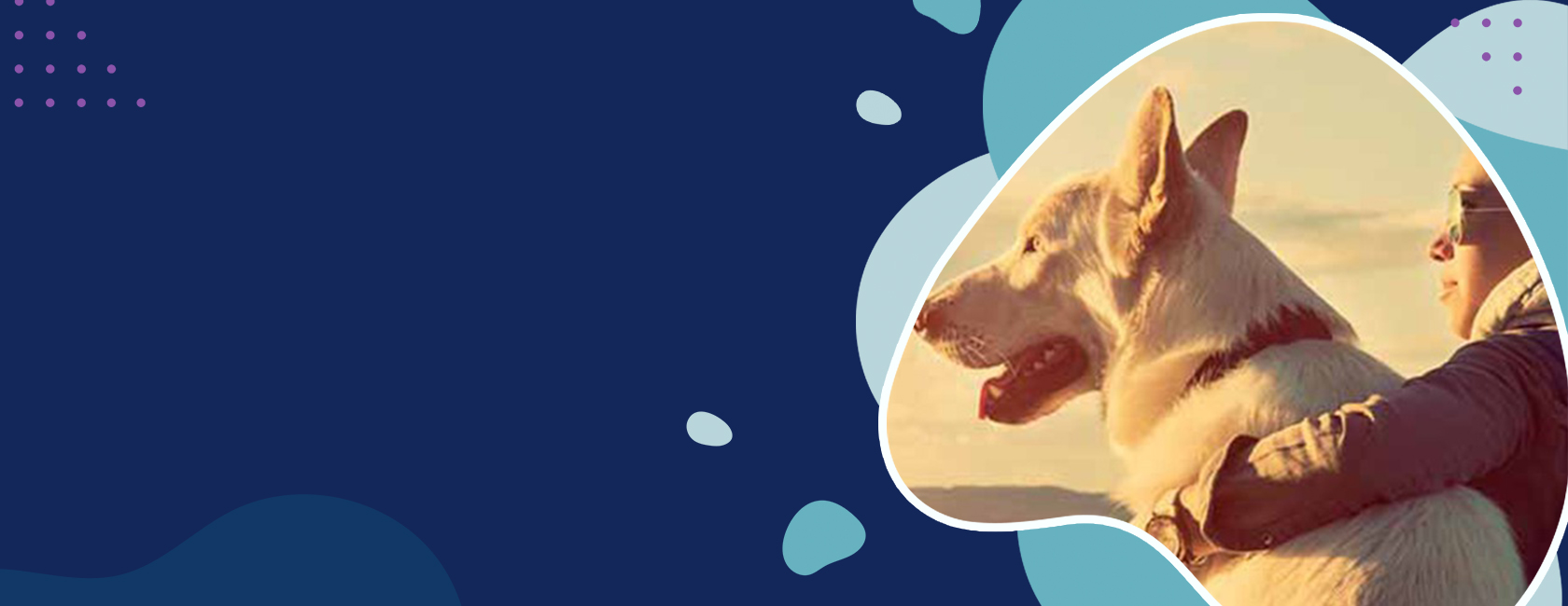 Best Quality Dry Dog Food New Zealand Premium Dog Food Online