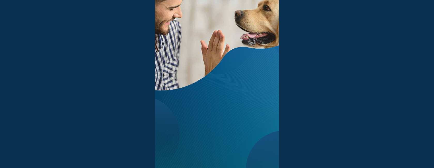 Best Quality Dry Dog Food New Zealand Premium Dog Food Online